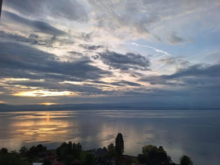 Appartement Avec Vue 180 Sur Le Lac Leman トノン・レ・バン エクステリア 写真