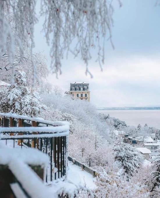 Appartement Avec Vue 180 Sur Le Lac Leman トノン・レ・バン エクステリア 写真