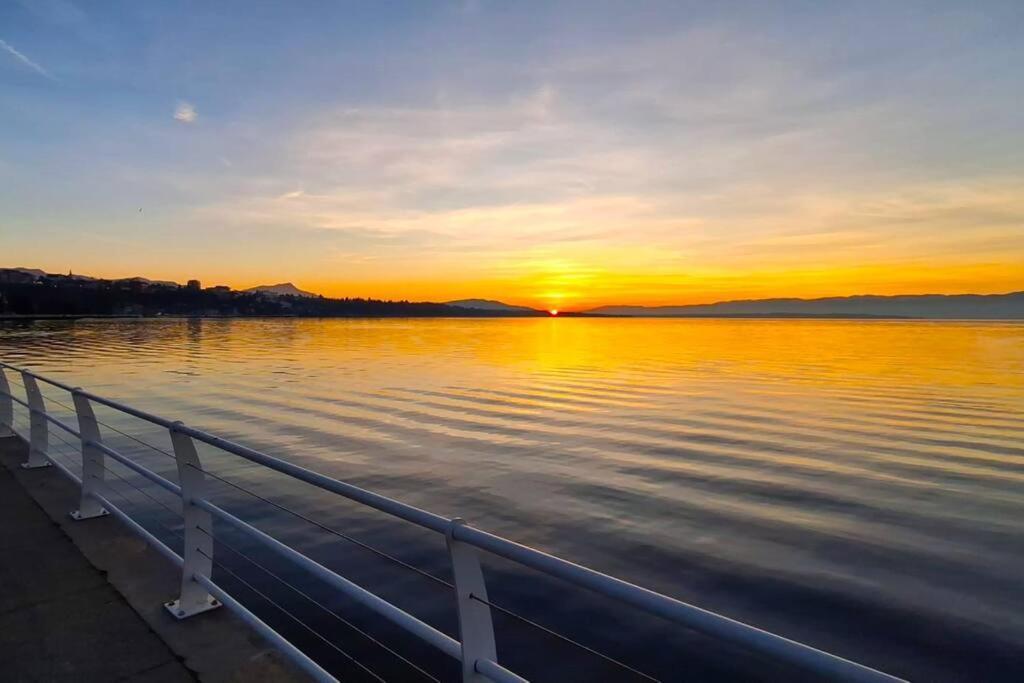 Appartement Avec Vue 180 Sur Le Lac Leman トノン・レ・バン エクステリア 写真